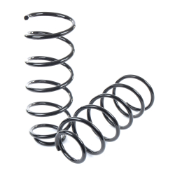 Пружины GANZ передние L=R SKODA Octavia / VW Bora / Golf IV (комплект 2 шт.) Арт.: GIK02150