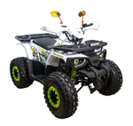 Квадроцикл Avantis Hunter 8 NEW Lux 2024 (А1)