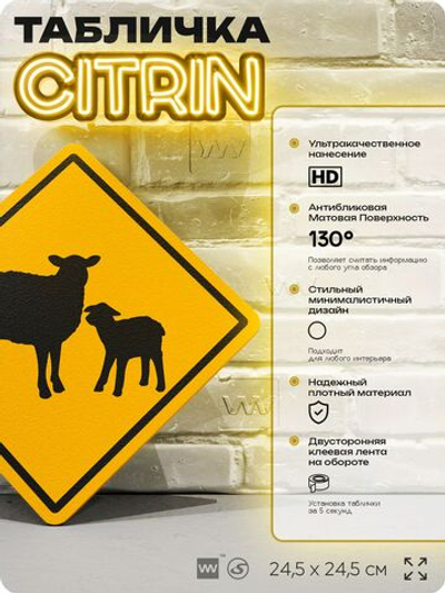 Табличка прикольная "Осторожно, овцы" на дверь и стену, информационная и предупреждающая, декоративный знак, 24,5х24,5 см, пластиковая, Айдентика Технолоджи