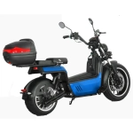 Электроскутер SKYBOARD BR100-5000 (Amur)