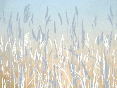 Дизайнерские обои Wall Street Essence