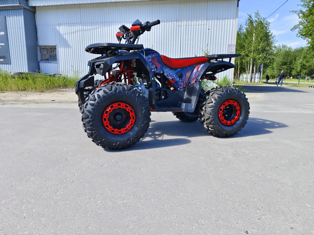 Квадроцикл PROMAX WILD 175 BASIC