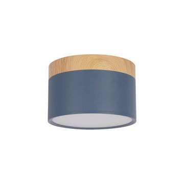 Накладной светильник LED 12W 4000К 10162 Blue синий Grape LOFT IT
