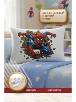 Термонаклейка на одежду, термопринт Паук