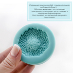 Подсолнух Серединки