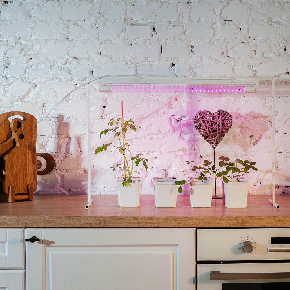 LED-T8-9W-SPSB-G13-CL PLP30WH Лампа светодиодная для растений. Форма T8. прозрачная. Спектр для рассады и цветения. ТМ Uniel.