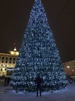 Светодинамическая елка каркасная - встроенная гирлянда: холодный свет - "Уральская" высота от 4 до 30 м