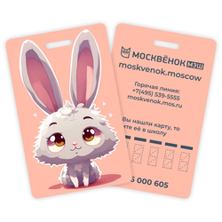 Карта Москвёнок ART №5 (проход + питание)