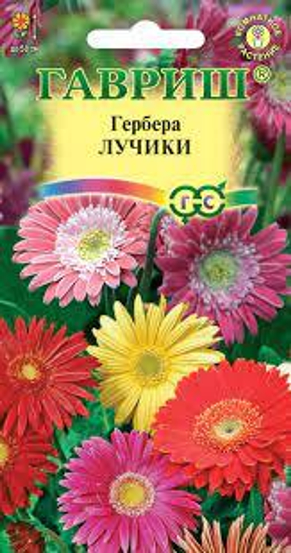 Без названия (2)