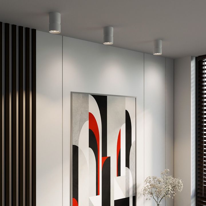 Потолочный светодиодный светильник Elektrostandard Kayo 25049/LED 12W 4000К белый a064730