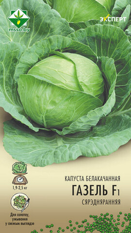 Капуста б/к "Газель F1" 12шт, Нидерланды.