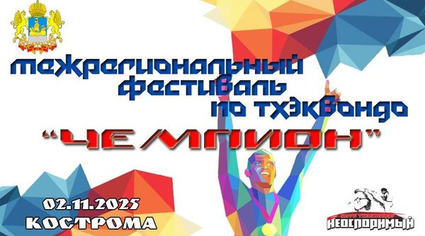 8-ой межрегиональный фестиваль по тхэквондо ВТФ «ЧЕМПИОН»