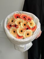 Букет из 15 минигербер кремовых оттенков