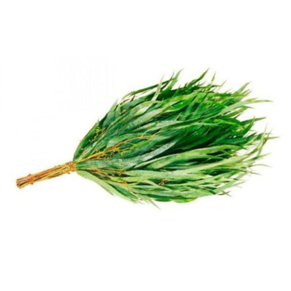 Веник эвкалиптовый