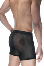 Черные полупрозрачные трусы-боксеры (Размер: L) (Цвет: черный)