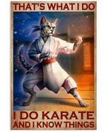 #13-1101