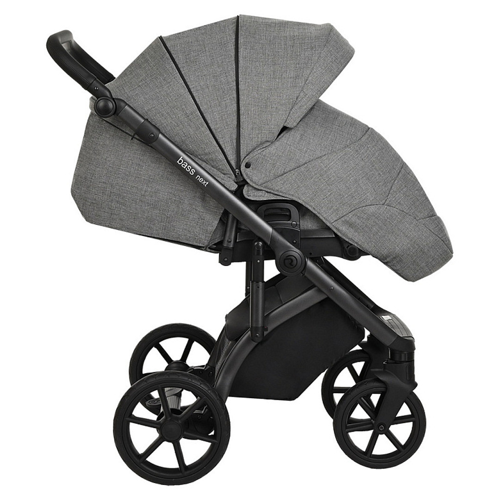 Детская коляска Roan Bass Next 2 в 1 RN027/1 Titanium