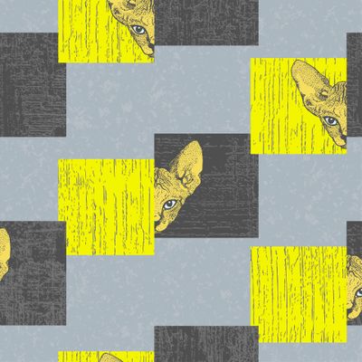 Кот сфинкс и квадрат чёрный