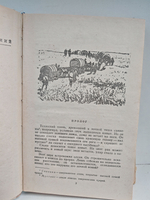 Всадник без головы