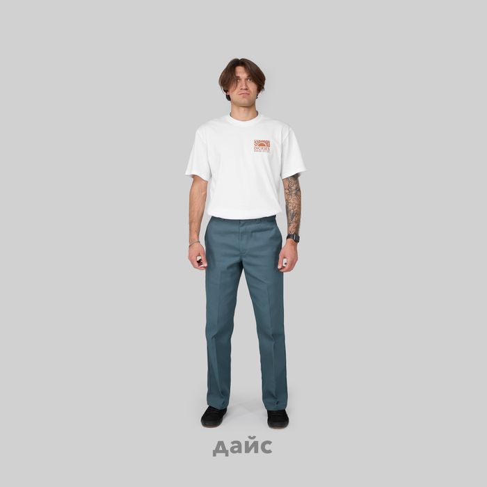 Брюки мужские Dickies Skateboarding Twill Pants артикул:WPSK67LN - купить в магазине Дайс