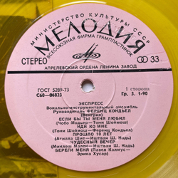 Винтажная виниловая пластинка LP ВИА Экспресс Express Венгры (СССР 1976) (Желтый Винил)