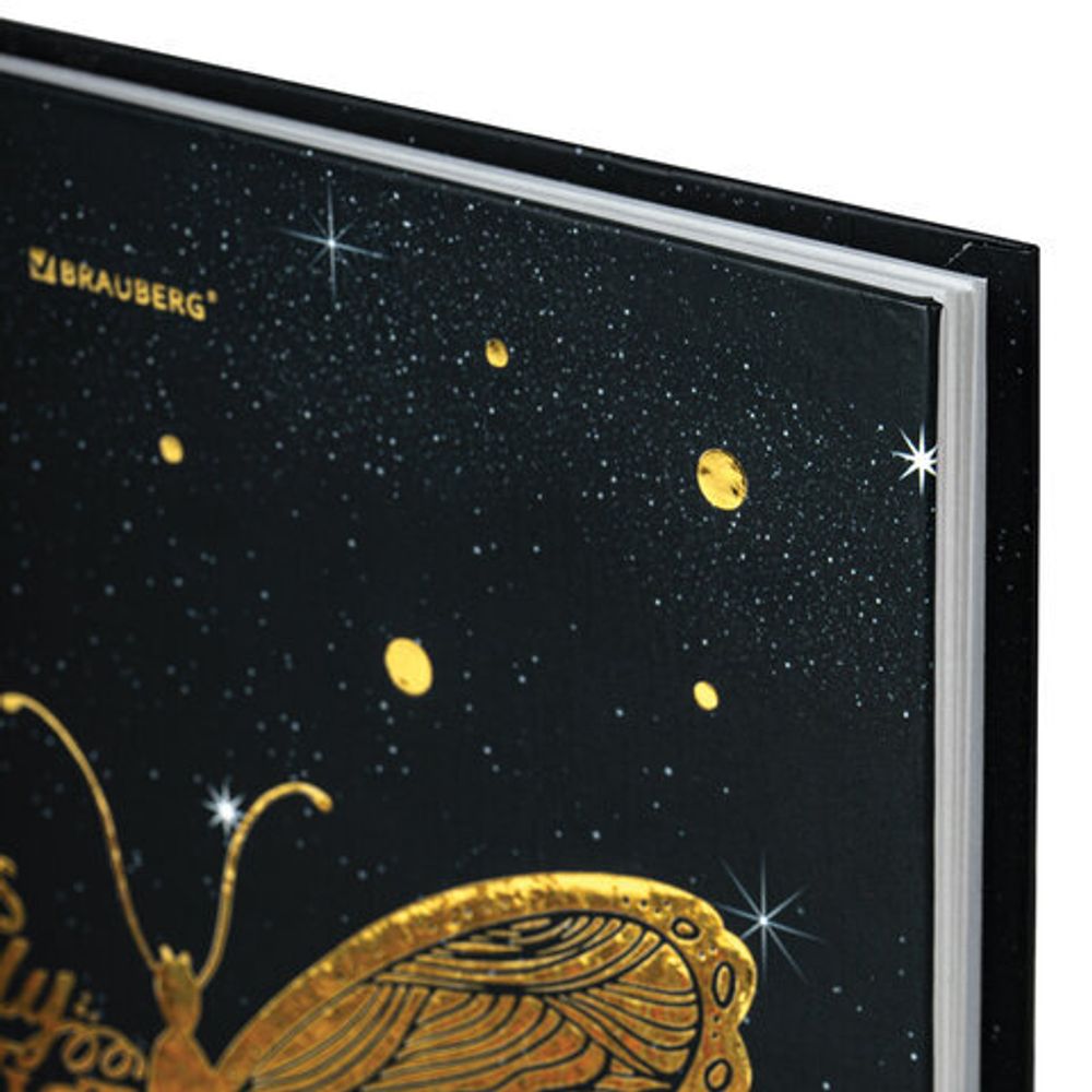 Дневник 5-11 класс 48 л., твердый, BRAUBERG, фольга, с подсказом, "Бабочка", 106638