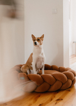 Лежанка "Пони-Колосони" Терракот