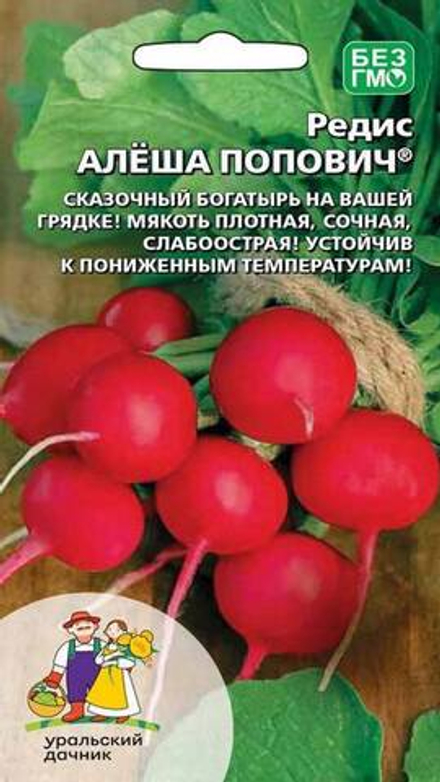 Редис "G. Алеша Попович" 2г., Россия.