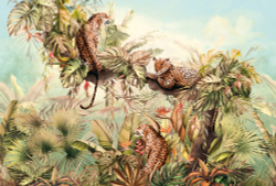 Коллекция It`s Jungle