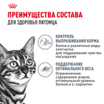Royal Canin Appetite Control Care Корм консервированный для взрослых кошек желе 85 г