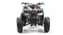 Квадроцикл PROMAX WILD 175