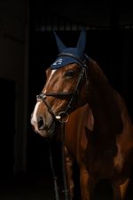EAR BONNET NAVY