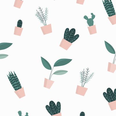 Цветы в горшках