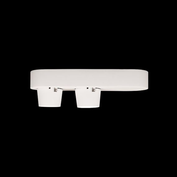Спот Loft IT Quiet 10320/2 White