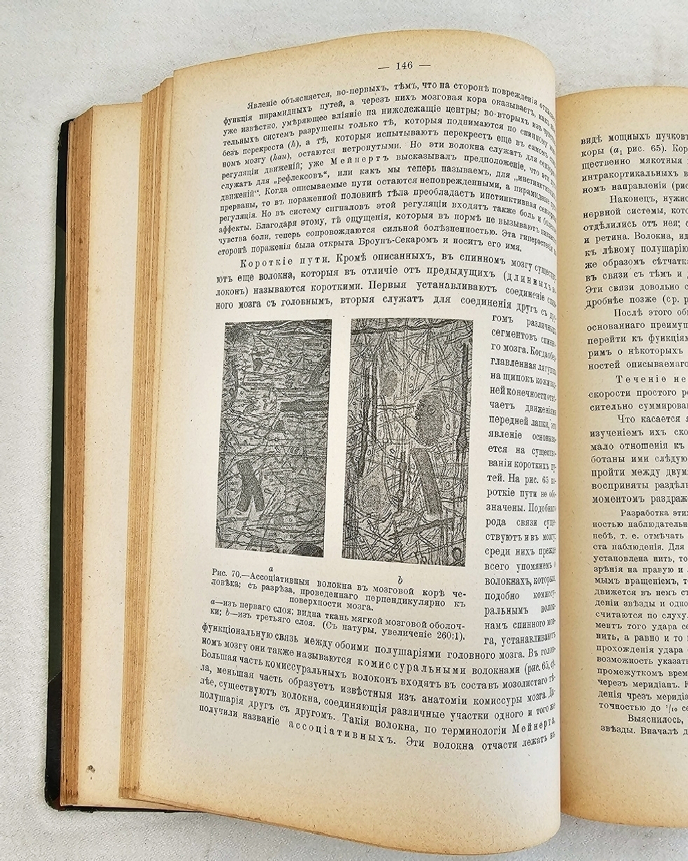 "Руководство по физиологии человека для врачей. Том 1". Профессор Н.Цунтц и профессор А.Леви. 1910 г.