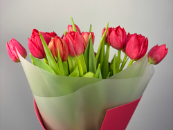 Букет из 15 махровых тюльпанов