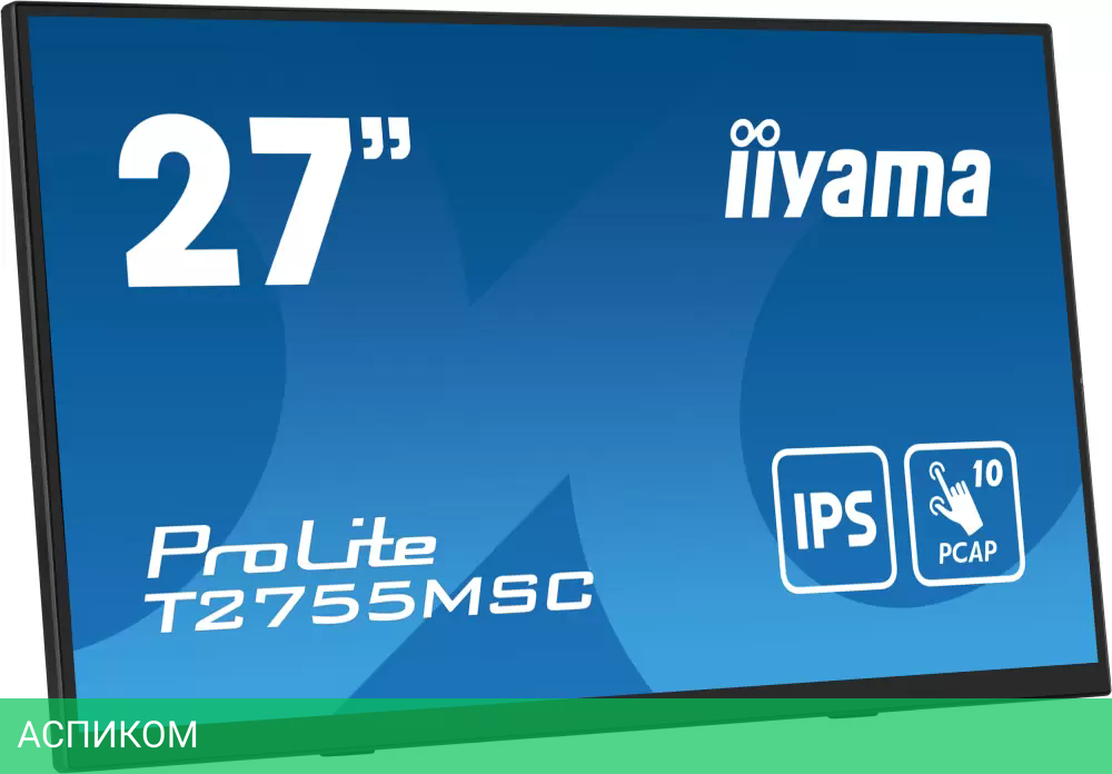 Портативный монитор Iiyama ProLite T2755MSC-B1