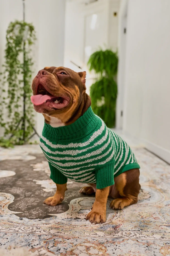 Для собачки