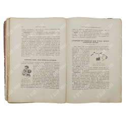 Поспелов А. И. Краткий учебник кожных болезней, 1912.