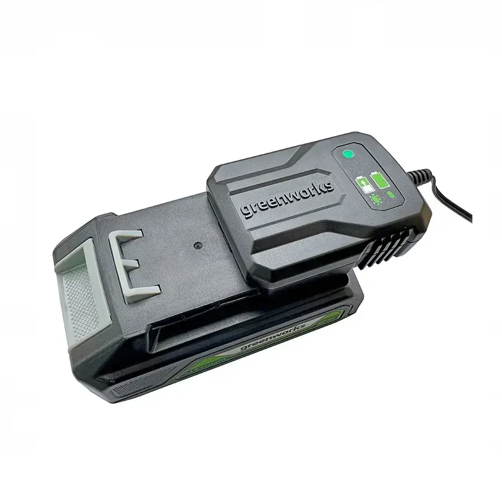 Зарядное устройство Greenworks G24UC2 2946207