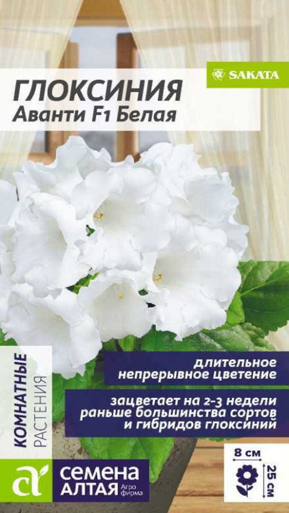 Глоксиния "G. Аванти F1 Белая" 8шт., Россия. Глоксиния "G. Аванти F1 Белая" 8шт., Россия.