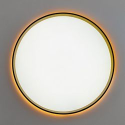 Накладной светильник Citilux ETALON CL750401R