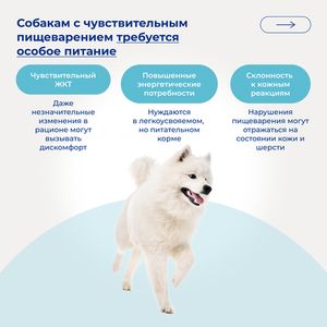 Сухой монопротеиновый корм Jarvi для взрослых собак средних и крупных пород с чувствительным пищеварением, телятина