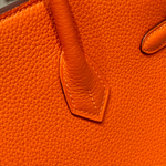 Hermes Birkin 25