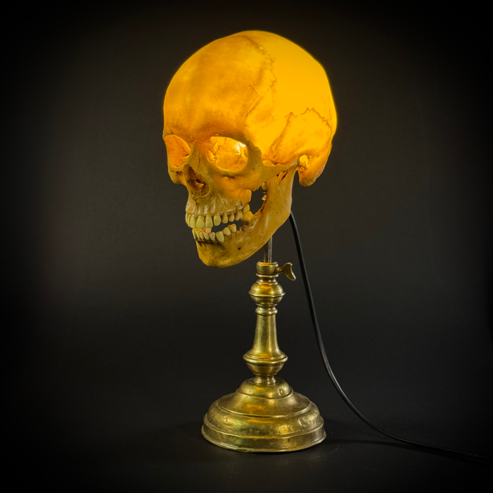 Настольная лампа «Череп человека»
