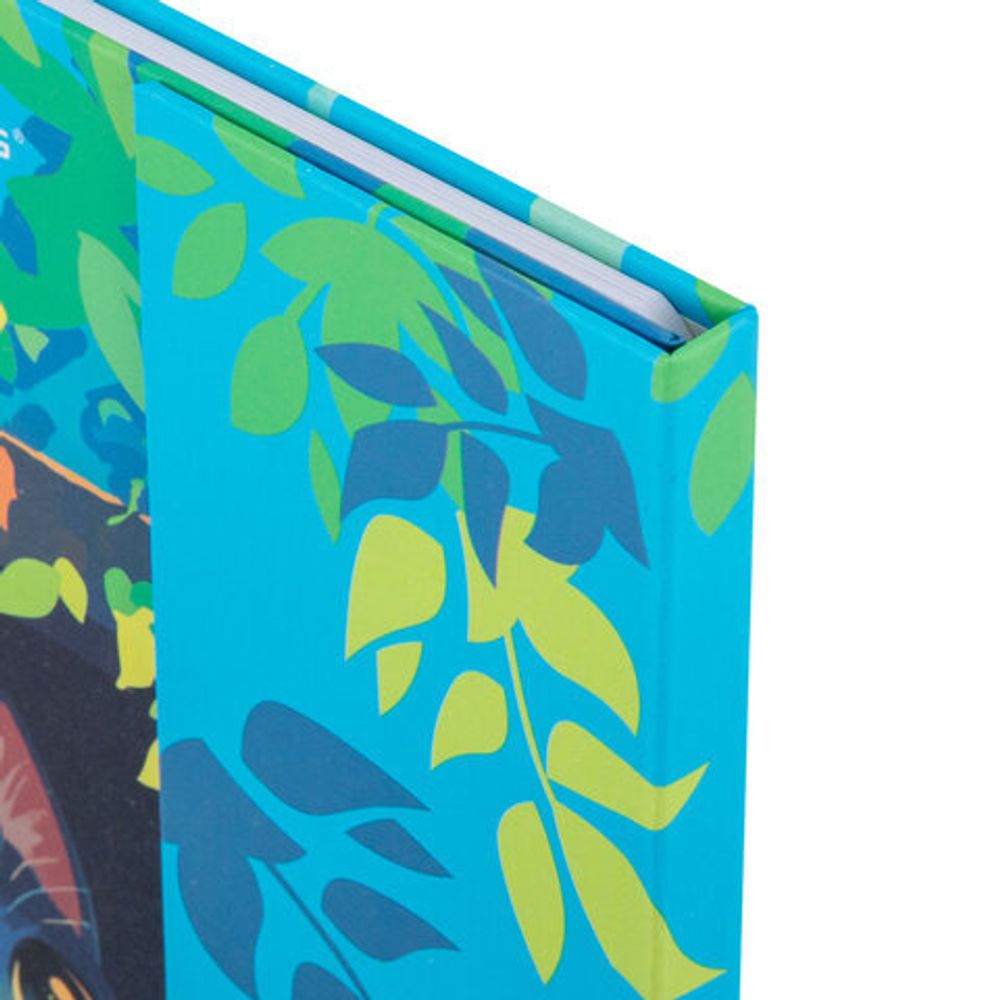 Дневник 1-11 класс 48 л., твердый, BRAUBERG, матовая ламинация, магнитный клапан, закладка-ляссе, с подсказом, "Котик", 107244