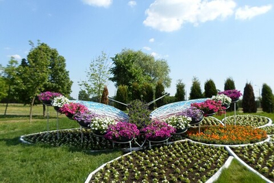 Парковая клумба Бабочка цветная