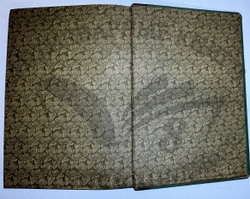 История XIX века. Западная Европа и внеевропейские государства. Под ред. Лависса и Рамбо; 1905-1907