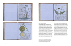 Botanical Sketchbooks