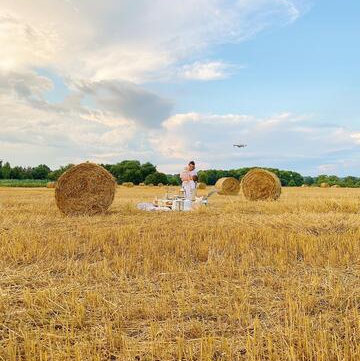 Golden Field